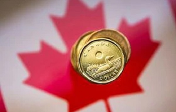 加拿大硬幣和楓葉圖案